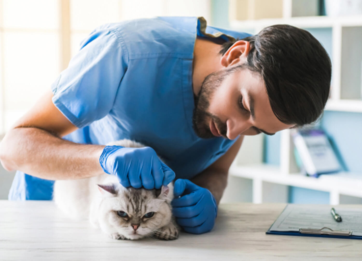 Pets-and-pet-care